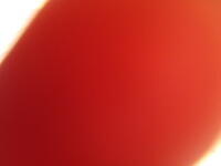 164 - Qa67888