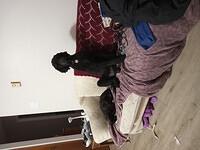 IMG 20240524 231410 561 LL