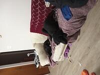 IMG 20240524 232058 558 LL (1)